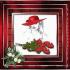 Kdo pour vous toutes mes amies