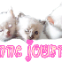 Bonjour mes amis