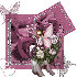 Kdo pour vous mes amis