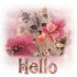 Bonjour tout le monde