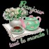 Bonjour tout le monde