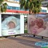 Mes deux petites-filles.......