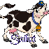 Salut