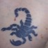 l'homme tatoué au scorpion