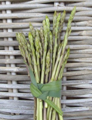 asperges sauvages