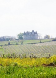 Le Château de Monbazillac