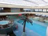 CROISIERE AUX CARAÏBES DU SAM