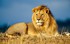 PROGRAMME DE L'AFRIQUE DU SUD 