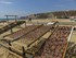 CIRCUIT AU PORTUGAL DU MARDI 1
