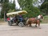 WEEK - END EN LOZERE LE SAMEDI