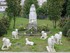 WEEK - END A LOURDES ET AUCH L