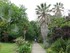 VISITE DU JARDIN DES PLANTES A