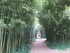 VISITE DU JARDIN DES PLANTES A