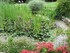 VISITE DU JARDIN DES PLANTES A