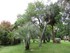 VISITE DU JARDIN DES PLANTES A