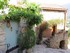BALADE EN CONFLENT