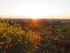 LEVER DU SOLEIL AU DESSUS DE S
