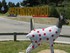 MUSEE SANS MURS DE FONT-ROMEU