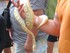VALLEE DES TORTUE A SOREDE