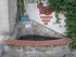 VISITE DU VILLAGE DE MOSSET EN