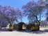 CIRCUIT EN AFRIQUE DU SUD DU M