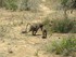 CIRCUIT EN AFRIQUE DU SUD DU M