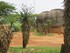CIRCUIT EN AFRIQUE DU SUD DU M