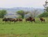 CIRCUIT EN AFRIQUE DU SUD DU M
