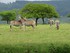 CIRCUIT EN AFRIQUE DU SUD DU M