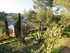 BALADE A COLLIOURE ET LES ALEN