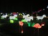 FESTIVAL DES LANTERNES A BLAGN