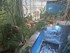 VISITE DE L'AQUARIUM ONIRIA A 