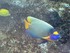 AQURIUM ONIRIA A CANET EN ROUS