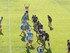 USAP-BRIVE ENTRE COPAINS
