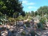 BALADE A CANET EN ROUSSILLON E