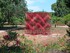 BALADE A CANET EN ROUSSILLON E