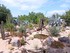 BALADE A CANET EN ROUSSILLON E