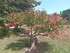 BALADE A CANET EN ROUSSILLON E