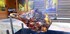PROGRAMME DES CUISSES DE VEAU 