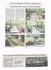 ARTICLES PARUS DANS LES JOURNA