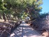 BALADE SUR LA COSTA BRAVA