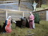 VILLAGE DE NOEL AU BARCARES 20