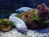 VISITE DE L'AQUARIUM ONIRIA A 