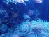 VISITE DE L'AQUARIUM ONIRIA A 