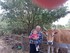 VISITE DE LA FERME SAINT ROCH 