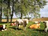 PROGRAMME DE LA JOURNEE AU CAB