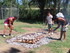 REPAS MAORI A L'ESPACE DES FR