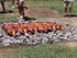 REPAS MAORI A L'ESPACE DES FR