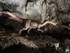 VISITE DE LA GROTTE COVA BASTE