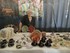 UNE SOIREE A SAINT CYPRIEN PLA